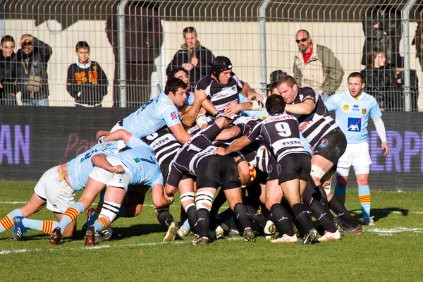 Rugby match USAP - Brive — Stock Photo, Image