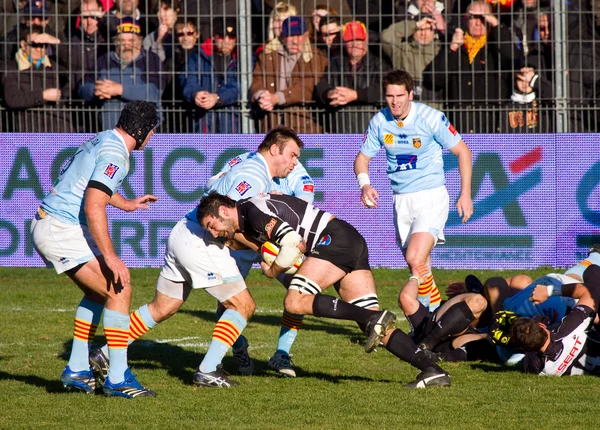 Partido de rugby USAP - Brive —  Fotos de Stock