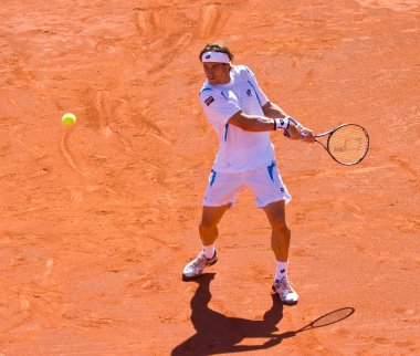 David Ferrer