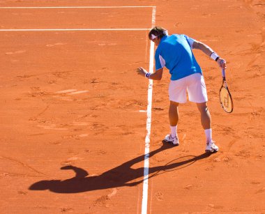 David Ferrer