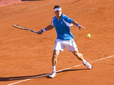 David Ferrer