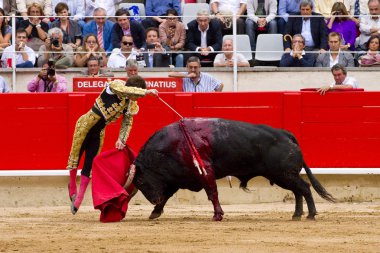 barcelona el juli boğa güreşi