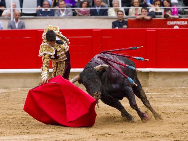Barcelona'da Manzanares boğa güreşi