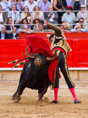 Barcelona'da Jose tomas boğa güreşi