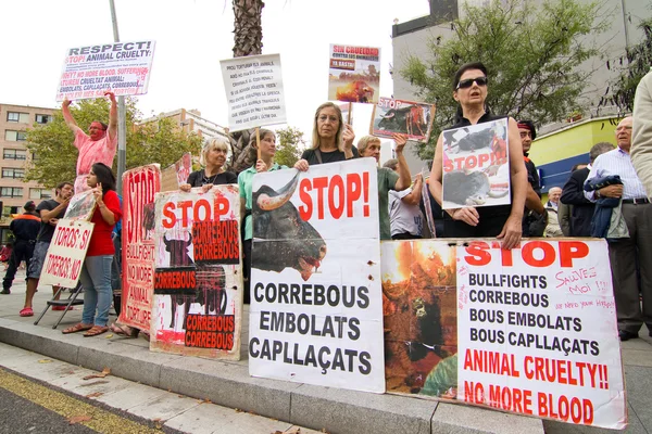 Anti bullfighting demonstration — Stock Photo, Image