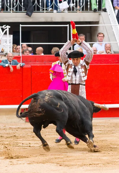 Драка быков в Барселоне — стоковое фото