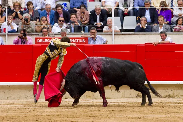 El juli tjurfäktning i barcelona — Stockfoto