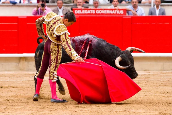 Manzanares tjurfäktning i barcelona — Stockfoto