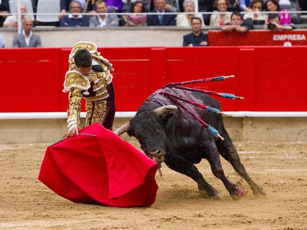 Manzanares býčí zápasy v Barceloně — Stock fotografie