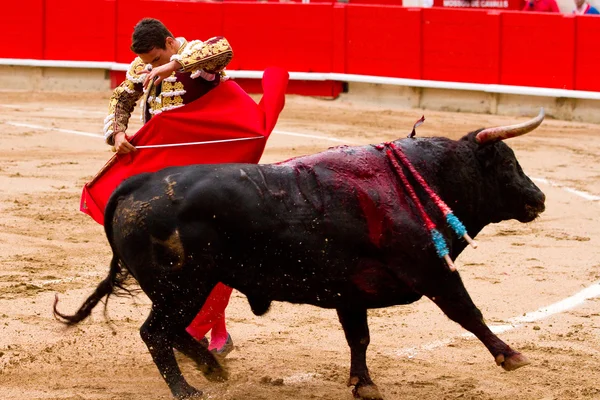 Manzanares bullfighting in Barcelona — Stock Photo, Image