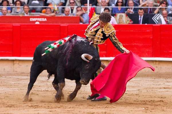 Jose tomas býčí zápasy v Barceloně — Stock fotografie