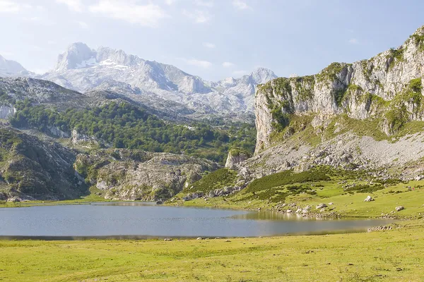 Picos de Europa, Spain — Stock Photo, Image