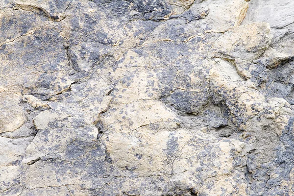 Dinosaur footprints — Stock Photo, Image