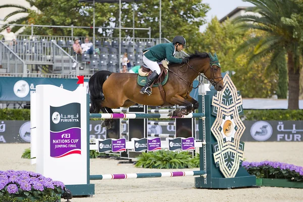 Csio cavalo saltando furusiyya Copa da — Fotografia de Stock