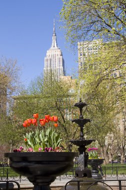 Madison Square Park, Ny