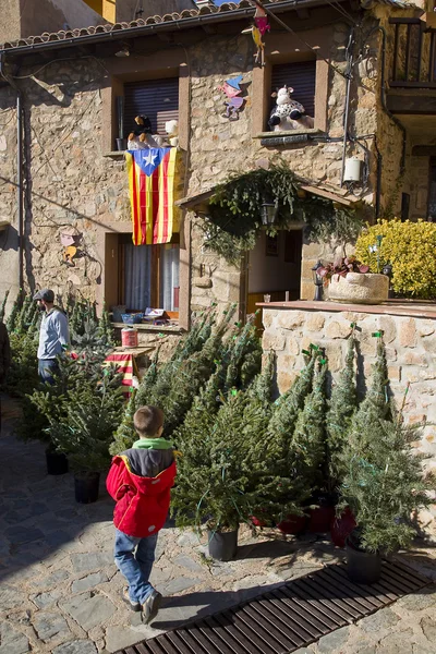 Tannenbaummarkt in espinelves, Spanien — Stockfoto