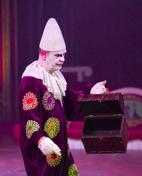 Clown at circus spectacle — Stock Photo, Image