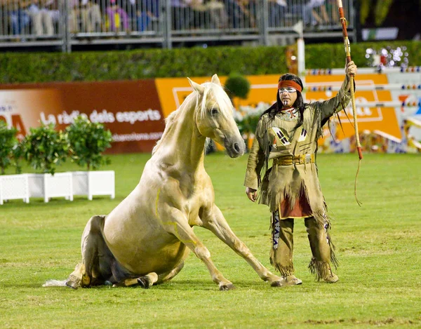 Exposição de cavalos — Fotografia de Stock