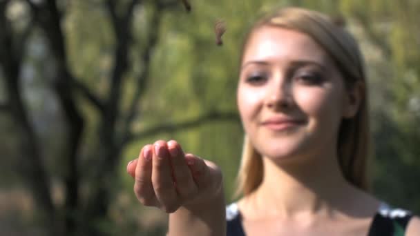 Jarní Zpomalený pohyb — Stock video