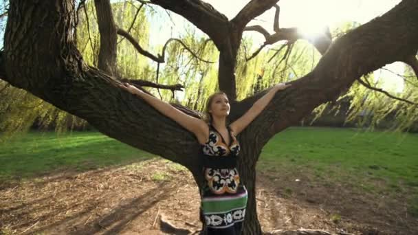 Mulheres em pé na frente da árvore — Vídeo de Stock