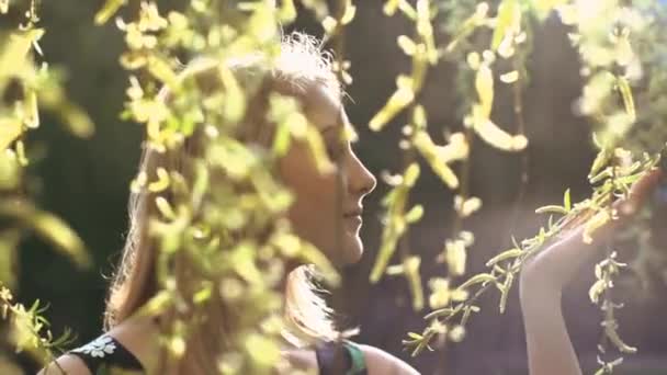 Les femmes regardant les feuilles — Video