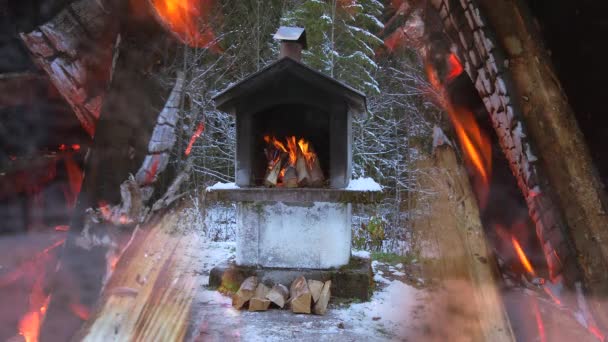 Fireplace Close View Wood Logs — Stock video