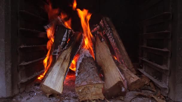 Fireplace Close View Wood Logs — Stock Video