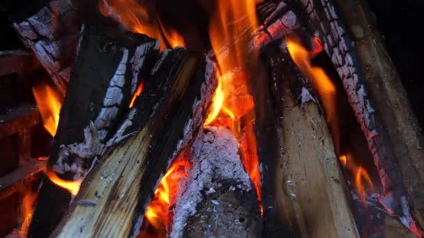 Fireplace Close View Wood Logs — Stock video