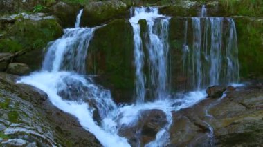 waterfall fresh natural source of water, green nature, landscape 