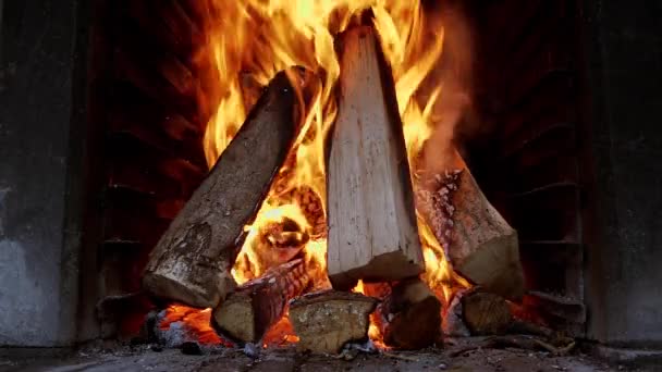 Fireplace Close View Wood Logs — Wideo stockowe