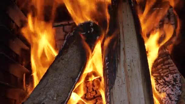 Fireplace Close View Wood Logs — Stok Video
