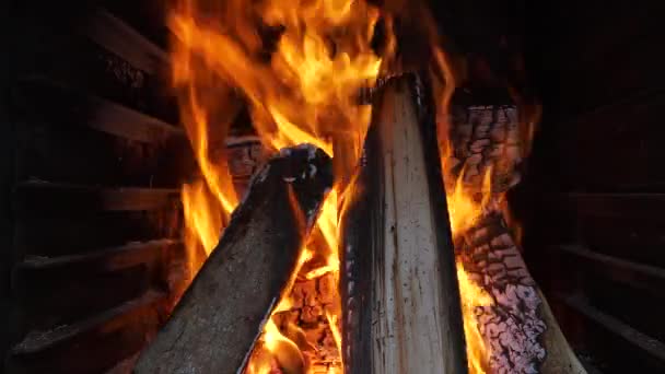 Fireplace Close View Wood Logs — Stock video