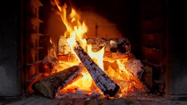 Fireplace Close View Wood Logs — 图库视频影像