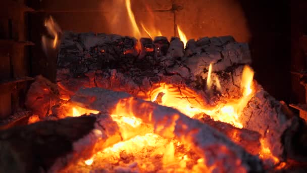 Fireplace Close View Wood Logs — Stock video
