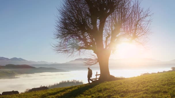 Silhouet Van Een Man Die Morgens Naar Het Meer Komt — Stockvideo