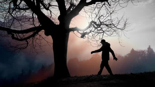 Sylwetki Mężczyzny Stojącego Przy Drzewie Zachodzie Słońca — Wideo stockowe