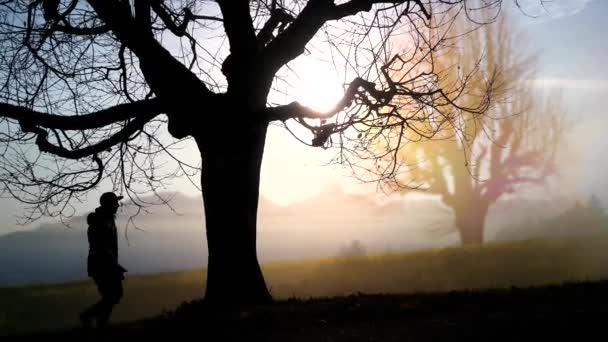 Silhouette Homme Dans Forêt Coucher Soleil — Video