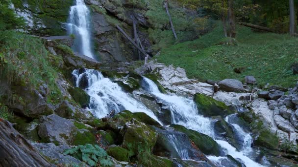 Waterfall Fresh Natural Source Water Green Nature Landscape — Stockvideo