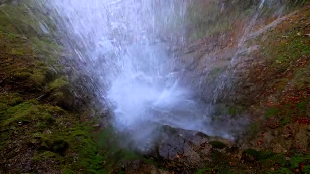 Waterfall Fresh Natural Source Water Green Nature Landscape — Vídeo de stock