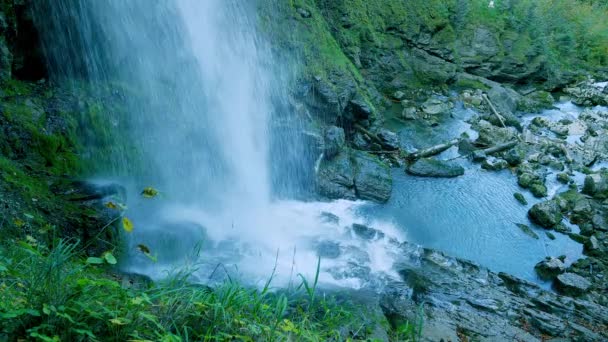 Waterfall Fresh Natural Source Water Green Nature Landscape — Stockvideo