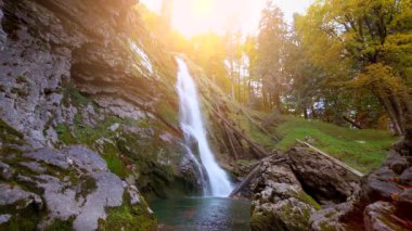 waterfall fresh natural source of water, green nature, landscape 