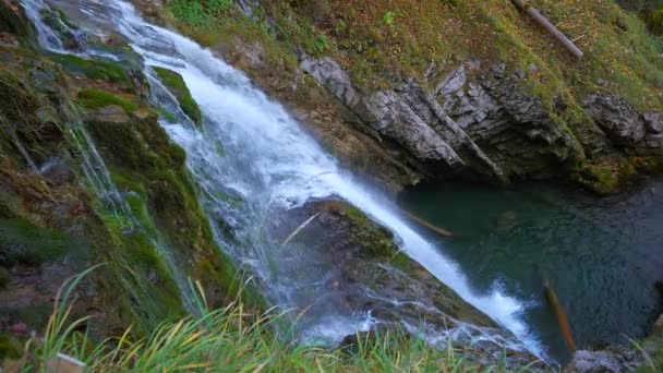 Waterfall Fresh Natural Source Water Green Nature Landscape — Vídeo de stock