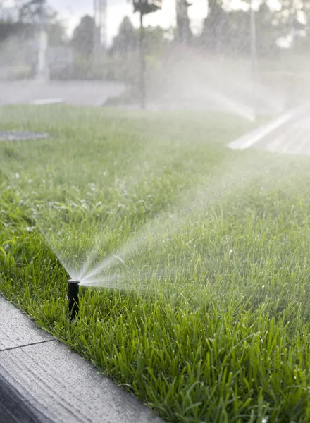 Grass Sprinkler — Stock Photo, Image