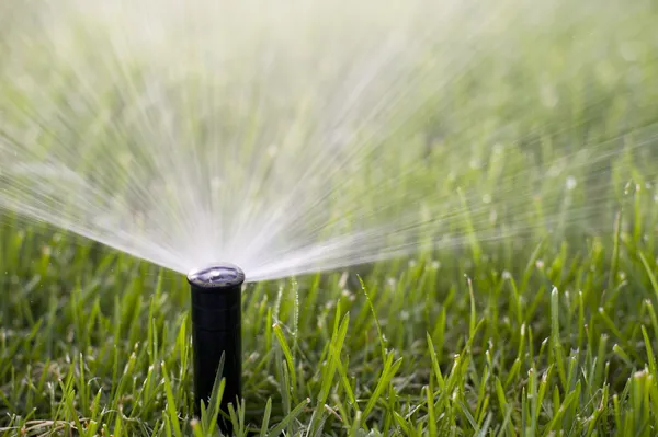 Grass Sprinkler — Stock Photo, Image