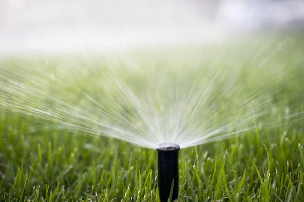 Grass Sprinkler Royalty Free Stock Images