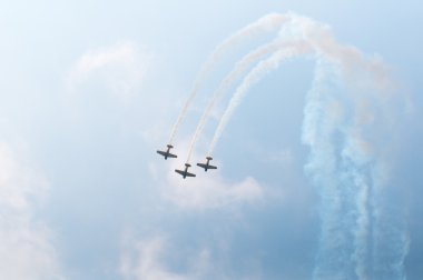 uçuş ekibi snowbirds demo