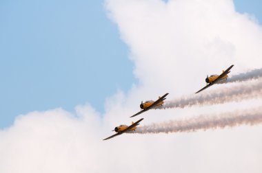uçuş ekibi snowbirds demo