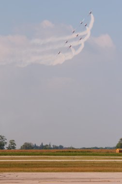 uçuş ekibi snowbirds demo