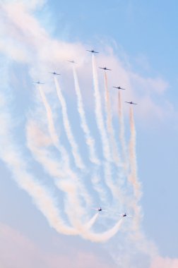 uçuş ekibi snowbirds demo