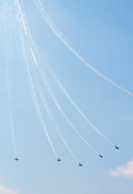 uçuş ekibi snowbirds demo